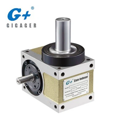 Modelo de eixo flangeado Série DFS